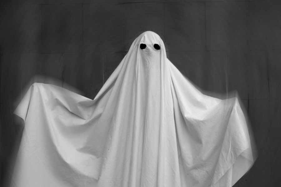 image of bedsheet ghost - black and white image, bedsheet ghost captures all all the area of the image, everything else is black