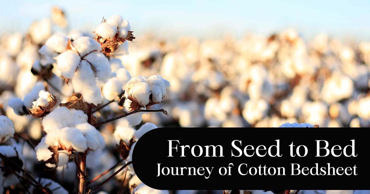 From Seed to Sleep: The Process of Making a Cotton Bedsheet