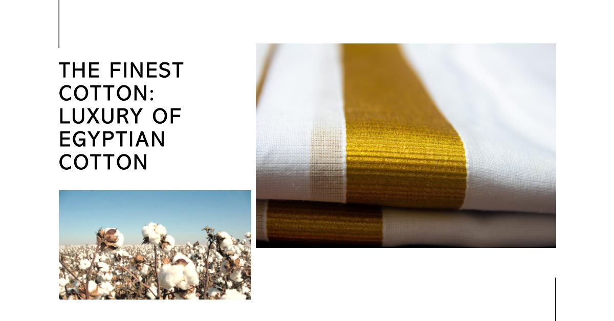 Egyptian Cotton - Why It's Considered One of the Finest Cotton?