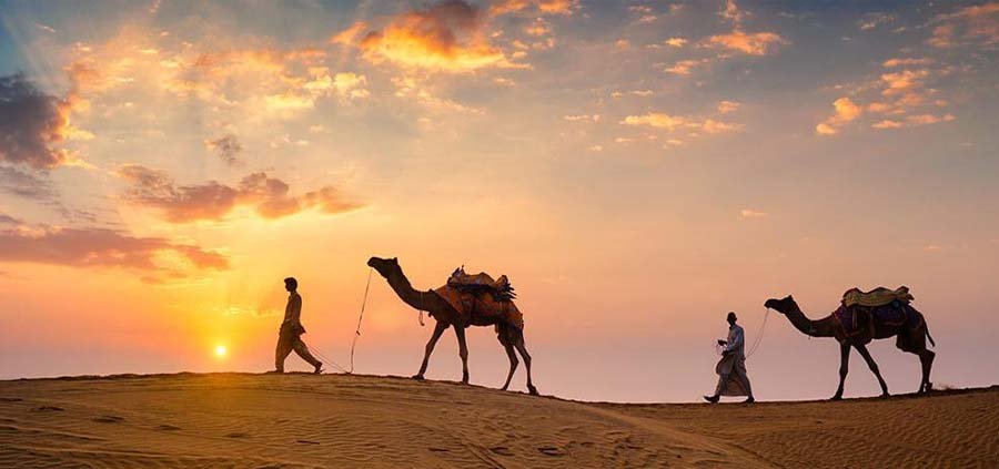9. Thar Desert and Camel Safari 